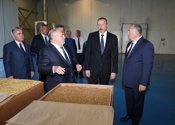Президент Ильхам Алиев ознакомился с деятельностью завода по переработке табака Президент Ильхам Алиев ознакомился с деятельностью завода по переработке табака - Sputnik Азербайджан