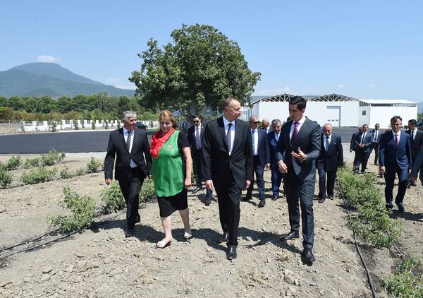 Президент ознакомился с продолжающимся строительством объекта производства розового масла Президент ознакомился с продолжающимся строительством объекта производства розового масла - Sputnik Азербайджан