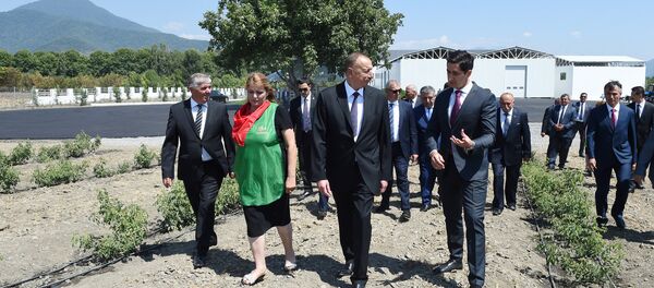 Президент ознакомился с продолжающимся строительством объекта производства розового масла - Sputnik Азербайджан
