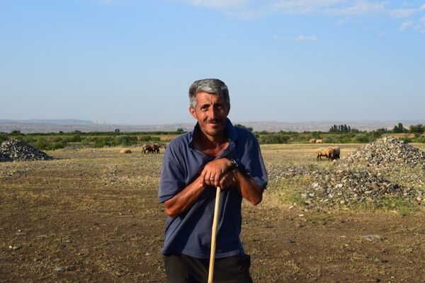 Natiq Alıyev Natiq Alıyev - Sputnik Azərbaycan