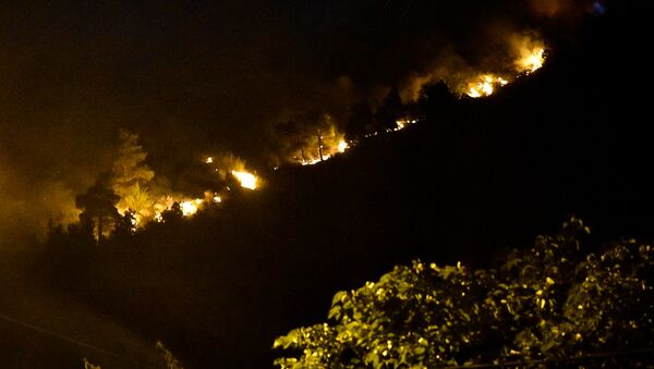 Горящие деревья на Мтацминда: огонь охватил лес за считанные минуты - Sputnik Azərbaycan