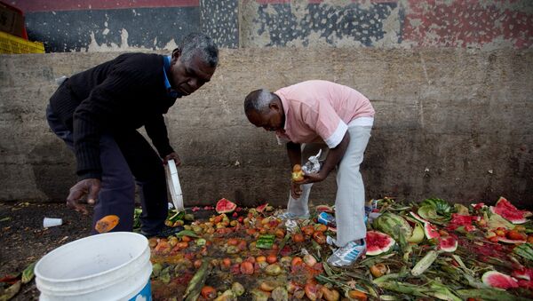 Karakas sakinləri Pedro Hernandez (solda) və Luis Daza paytaxtın Koşe bazarının zibilliyində yerə tökülmüş pomidorları yığırlar, 31 may 2016-cı il - Sputnik Azərbaycan