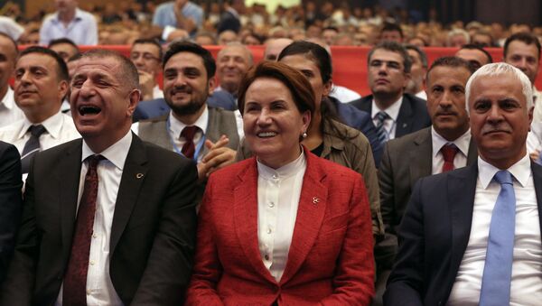Бывшая министр внутренних дел Турции Мерал Акшенер, фото из архива - Sputnik Азербайджан
