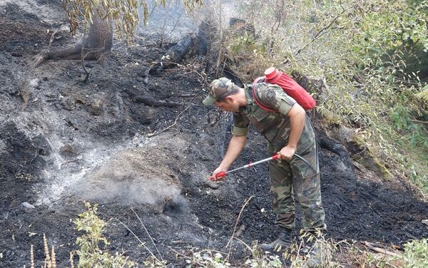 Сотрудники МЧС Азербайджана участвуют в тушении пожаров в Боржоми-Харагаульском лесу Грузии - Sputnik Азербайджан