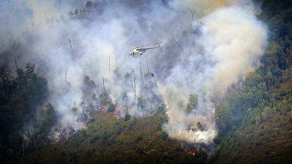 Вертолет тушит лесной пожар в Боржоми-Харагаульском лесу - Sputnik Азербайджан