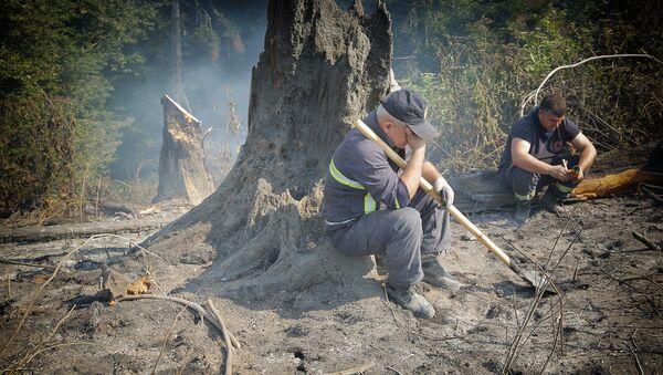 Пожарные-спасатели в Боржоми-Харагаульском лесу - Sputnik Azərbaycan