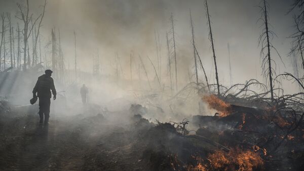 Последствия лесных пожаров, фото из архива - Sputnik Азербайджан