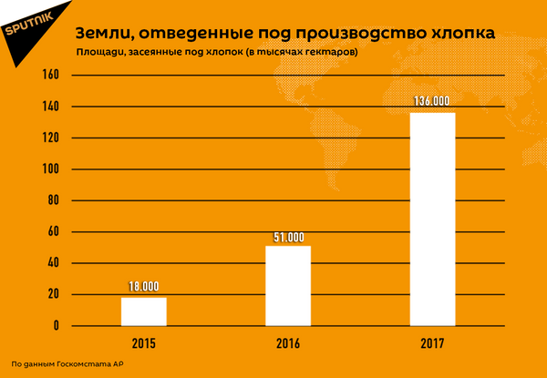 Земли, отведенные под производство хлопка Земли, отведенные под производство хлопка - Sputnik Азербайджан