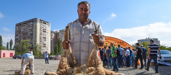 Гурбан байрам в Баку Гурбан байрам в Баку - Sputnik Азербайджан