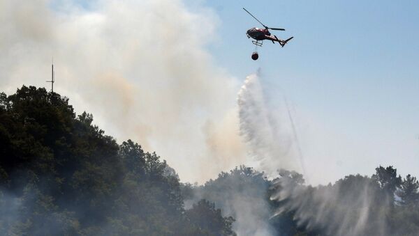 Тушение лесного пожара, архивное фото - Sputnik Азербайджан
