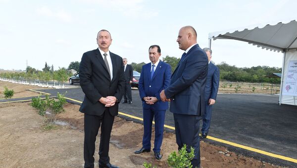 Президент Ильхам Алиев на земельных угодьях ООО Gilan Orchards - Sputnik Азербайджан