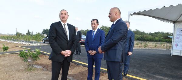 Президент Ильхам Алиев на земельных угодьях ООО Gilan Orchards Президент Ильхам Алиев на земельных угодьях ООО Gilan Orchards - Sputnik Азербайджан