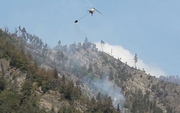 Продолжаются работы по тушению лесных пожаров в Габалинском районе - Sputnik Азербайджан