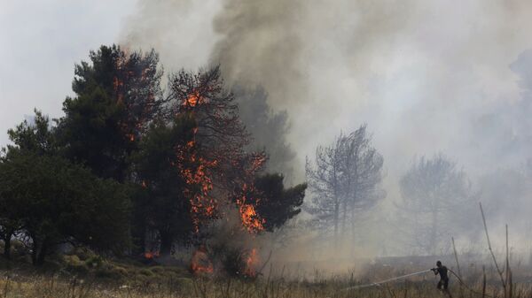 Работы по тушению лесных пожаров, фото из архива - Sputnik Азербайджан