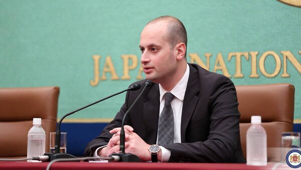 Глава МИД Грузии Михаил Джанелидзе в Японии - Sputnik Azərbaycan