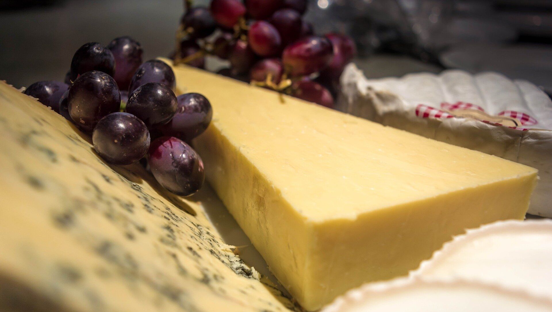 Сыр скрипит на зубах почему. Факты о сыре. Сыр здоровье. Сыр здоровье фото. Скажи сыр.
