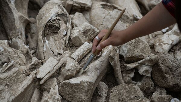 Археологические раскопки, фото из архива - Sputnik Азербайджан