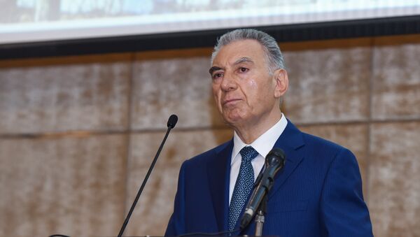Председатель Госкомитета Азербайджана по делам беженцев и вынужденных переселенцев Али Гасанов - Sputnik Азербайджан
