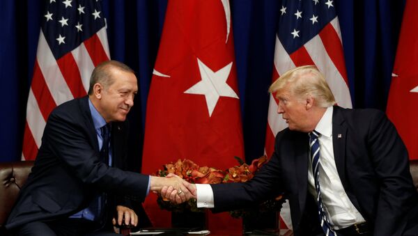 ABŞ prezidenti Donald Trampla türkiyəli həmkarı Rəcəb Tayyib Ərdoğan - Sputnik Azərbaycan
