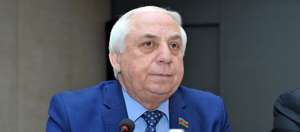 Председатель комитета Милли Меджлиса АР по социальной политике и труду Хады Раджабли - Sputnik Азербайджан