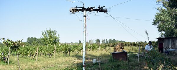 Изобретение садовода Гурбанова Изобретение садовода Гурбанова - Sputnik Азербайджан
