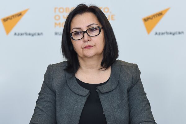 Директор Института профессионального развития работников министерства образования Азербайджана Вафа Ягублу Директор Института профессионального развития работников министерства образования Азербайджана Вафа Ягублу - Sputnik Азербайджан