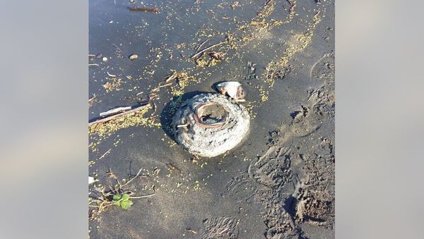 Противотанковая мина, обнаруженная на берегу моря в городе Лянкяран - Sputnik Азербайджан