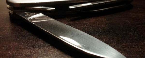 Нож в руке, фото из архива - Sputnik Азербайджан