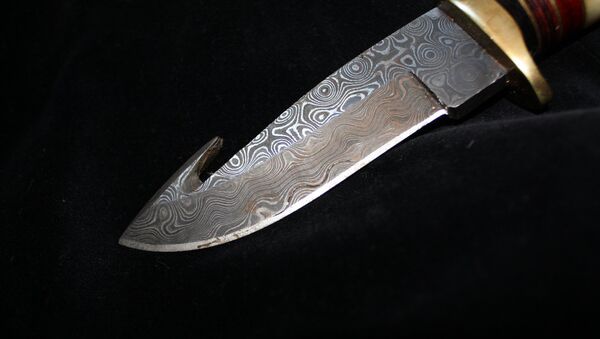 Нож в руке, фото из архива - Sputnik Azərbaycan