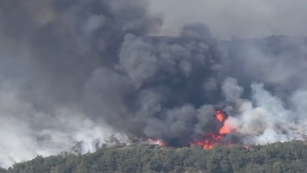 Съемка с воздуха природного пожара в Калифорнии - Sputnik Азербайджан