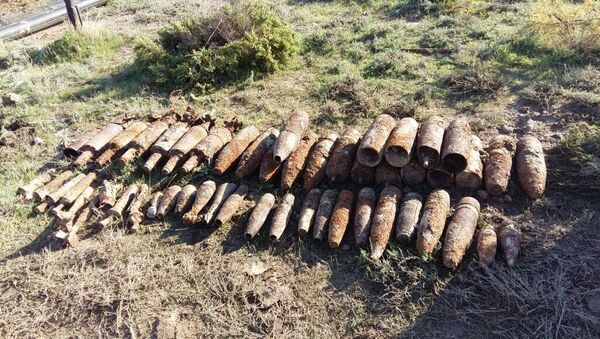 Боеприпасы, обнаруженные на территории завода компании Azеrsun по производству масла - Sputnik Азербайджан