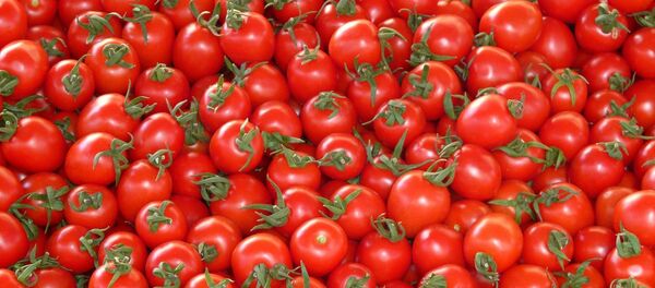 Помидоры, фото из архива Помидоры, фото из архива - Sputnik Азербайджан