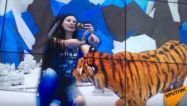 Телепорт и клетка с тигром на ВФМС-2017 в Сочи - Sputnik Азербайджан