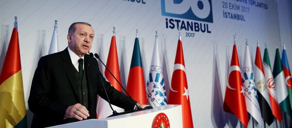 Президент Турции Тайип Эрдоган выступает на церемонии открытия саммита D-8 в Стамбуле, Турция 20 октября 2017 года - Sputnik Азербайджан