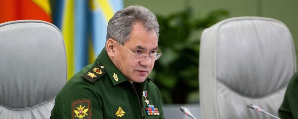 Министр обороны РФ Сергей Шойгу - Sputnik Азербайджан