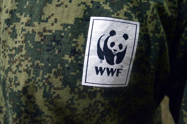 Рахманов является сотрудником бакинского офиса WWF Рахманов является сотрудником бакинского офиса WWF - Sputnik Азербайджан