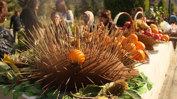 Beynəlxalq xurma festivalı - Sputnik Azərbaycan