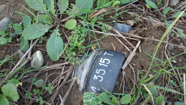 Обезвреживание противопехотной мины в Агдамском районе  - Sputnik Азербайджан