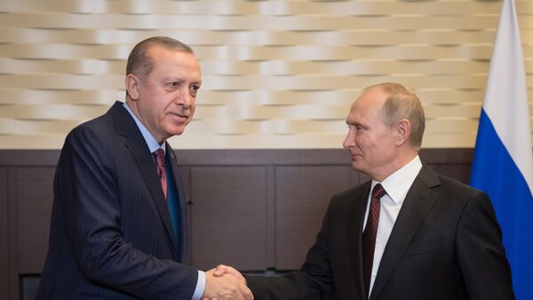 Президент РФ Владимир Путин и президент Турции Реджеп Тайип Эрдоган во время встречи, 13 ноября 2017 года - Sputnik Азербайджан