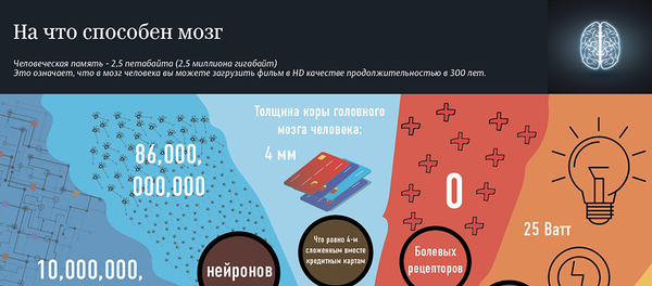 Мозг - Sputnik Азербайджан
