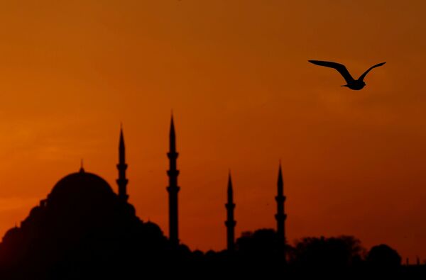 Чайка над Босфором во время заката у мечети в Стамбуле, Турция - Sputnik Азербайджан
