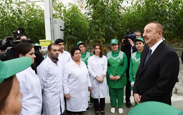 Ильхам Алиев ознакомился с работами, проведенными в BAKU AGROPARK - Sputnik Азербайджан