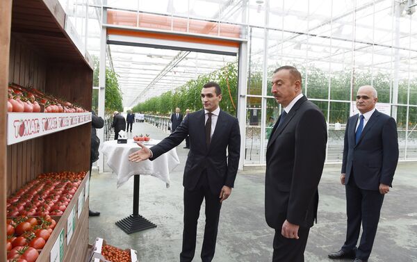 Ильхам Алиев ознакомился с работами, проведенными в BAKU AGROPARK - Sputnik Азербайджан