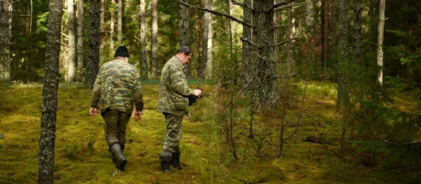 Участники поискового отряда Находка на месте обнаружения массовой гибели военнослужащих Великой Отечественной войны, фото из архива - Sputnik Азербайджан