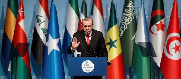 Выступление президента Турции Реджепа Тайипа Эрдогана на внеочередном саммите Организации исламского сотрудничества в Стамбуле, 13 декабря 2017 года - Sputnik Азербайджан