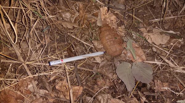 Ручная граната Ф-1, обнаруженная на территории села Гапанлы Тертерсткого района - Sputnik Azərbaycan