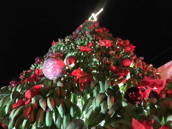Рождественская елка из тонны бананов в Ливане - Sputnik Азербайджан