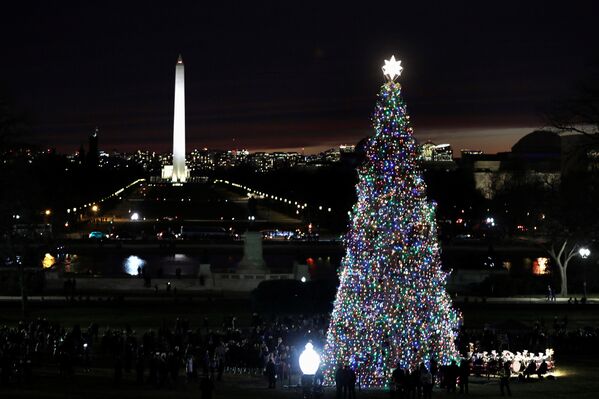 Елка на Капитолийском холме в Вашингтоне — одна из двух главных елок в США - Sputnik Азербайджан