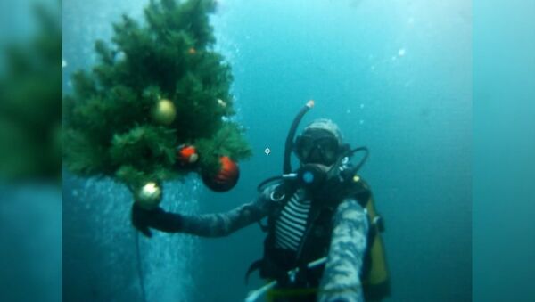 Дайверы погрузили новогоднюю елку под воду Голубого озера - Sputnik Азербайджан