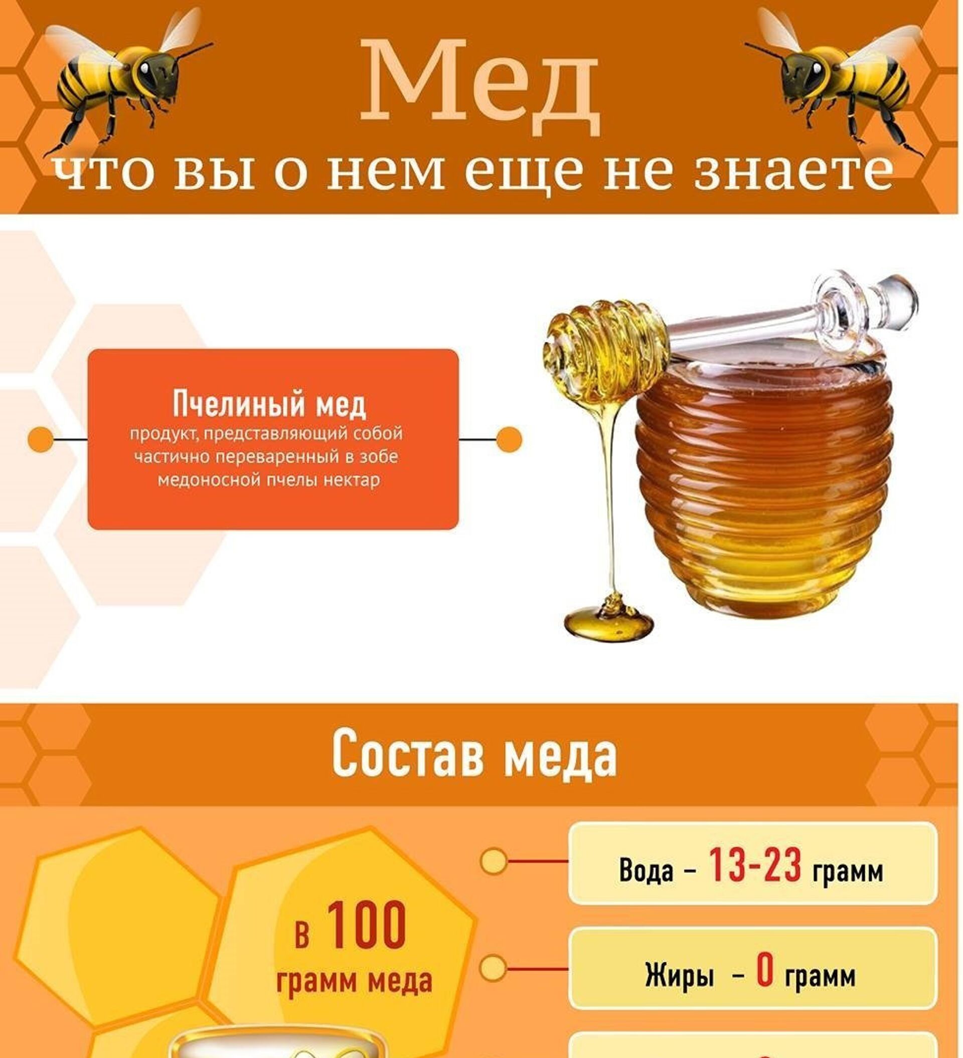 Польза меда для здоровья. Пчелиный мёд. Чем полезен мед. Польза меда. Что полезного в меде.